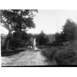 Mount Barker Showing a Road With a Horse and Cart