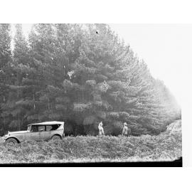Mount Burr Forest Showing Automobile and Two Men in Front Pointing Upwards