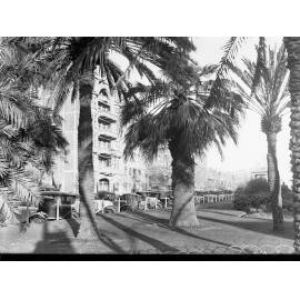 View of North Terrace from Garden