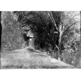 Two boys standing on the bank of a creek