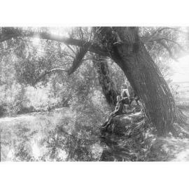 Girl and boy in park (Mount Lofty Ranges)