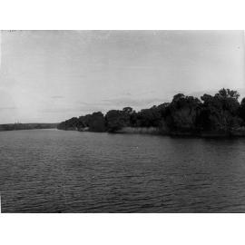 Long Island on River Murray