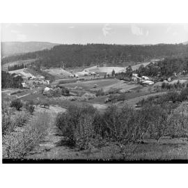 Orchards at Pound Road, Ashton