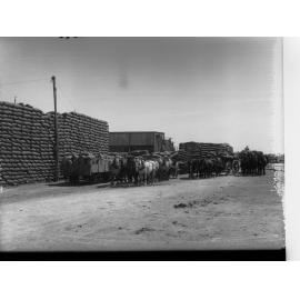 Sacks of Wheat on Wagons at Port Wakefield Wheat Stores
