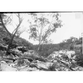 Proposed site of main dam, Yettie Creek - Barossa Waterworks