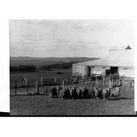 Hill River Sheep Station