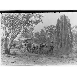 Typical Ant Hill - Northern Territory (shows man with horse and carriage alongside the ant hill)