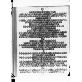 Group of Old Colonists Cameo Portraits