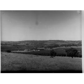Angaston View from Vineyards