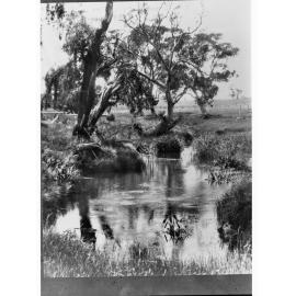 Rural view showing small creek