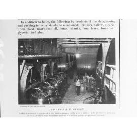 Wine Cellar in Mendoza