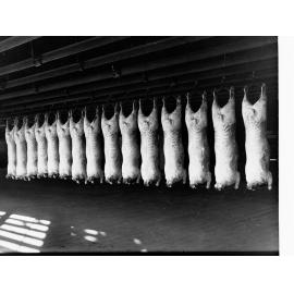 Roseworthy College Export Sheep Produce Department