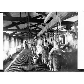 Men Skinning Sheep Dry Creek Slaughterhouse