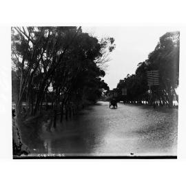 Horse and carriage on a road during flood