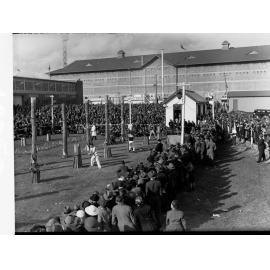 Woodchopping Competition 