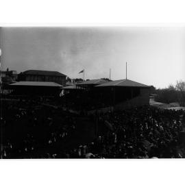 Parade of Draughthorses at the Royal Adelaide Show