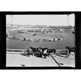 Royal Adelaide Show Parade, c. 1948