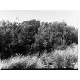 South East drainage Tea Tree Gully