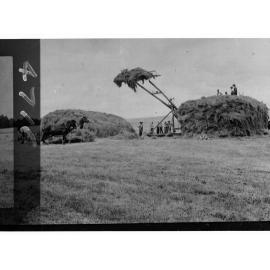 Men Building a Haystack