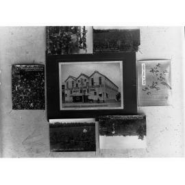 Australian Cotton Growing Association Rockhampton