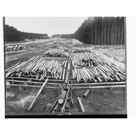 Log on Skids at Mount Burr