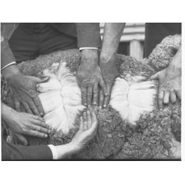 Wool being inspected at Halbury