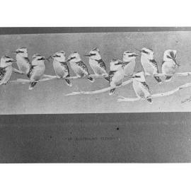 Picture of eleven kookaburras on a branch titled "An Australian Eleven" - by Mike Boothby