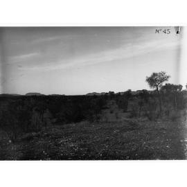 Parliamentary party on tour of Far North in Austin cars (government cars) - rural view