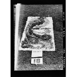 Flower Day - exhibit in ground (exhibit no. 18)