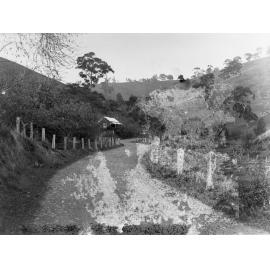 Country scene of road including cottage