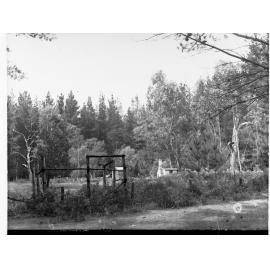 Old Home in Penola Forest