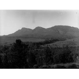 Wilpena Creek East Boundary