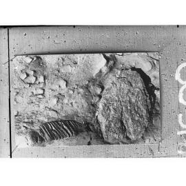 Otira Gorge, New Zealand