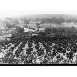 McLaren Vale showing farmhouse