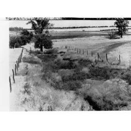Rural View of Creek and Trees