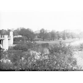 Adelaide taken from north bank of River Torrens near King William Street bridge