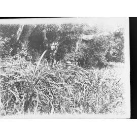 Northern Territory Property 