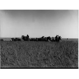 Lake View Field Trials  Harvester in a field