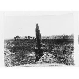 Large ant hill - Northern Territory