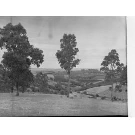 Panoramic View of Clarendon
