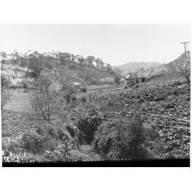 Gardens at 'Ferndale', Basket Range