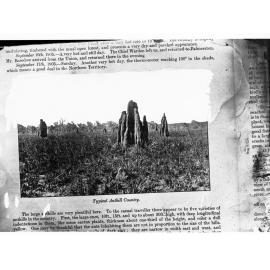 Typical Anthill Country - Northern Territory - Ant hills