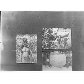 Maori man in traditional dress, man near anthill and tree