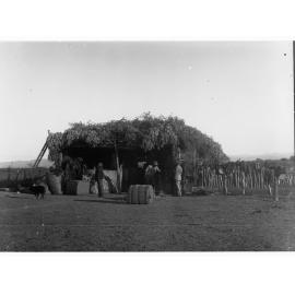 Small shearing shed - Far North