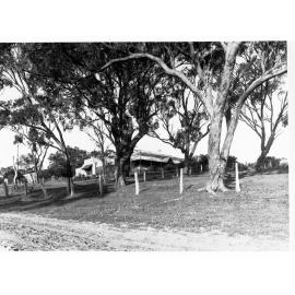 Minda Home's Craigburn Farm, 1932
Minda Home 