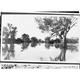 Rural view of river - no information recorded