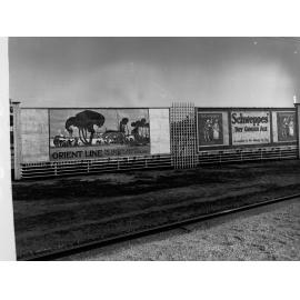 South Australian Railway Hoarding at Goodwood Station