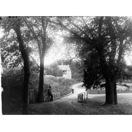 Botanic Gardens, Adelaide, with building in background
