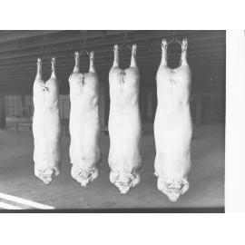 Roseworthy College Export Pigs Produce Department