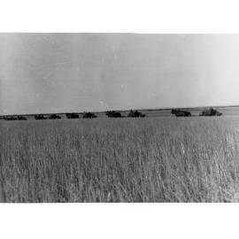 Harvester at Work Mount Templeton Estate